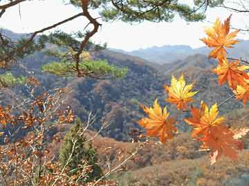 昆明盤龍區(qū)最新動態(tài)，數(shù)據(jù)驅(qū)動實施策略進展報告