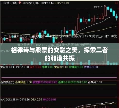 格律詩與股票的交融之美，探索二者的和諧共振