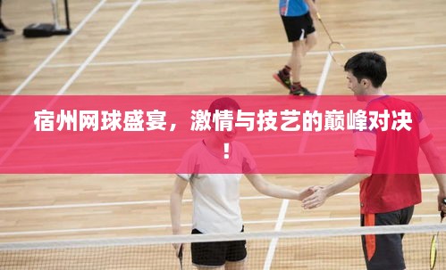 宿州網(wǎng)球盛宴，激情與技藝的巔峰對(duì)決！