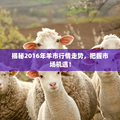 揭秘2016年羊市行情走勢(shì)，把握市場(chǎng)機(jī)遇！