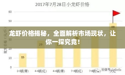 龍蝦價格揭秘，全面解析市場現(xiàn)狀，讓你一探究竟！
