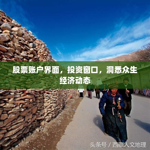 股票賬戶界面，投資窗口，洞悉眾生經(jīng)濟動態(tài)