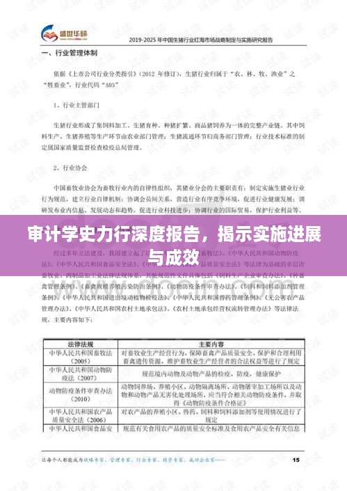 審計學(xué)史力行深度報告，揭示實施進(jìn)展與成效