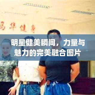 明星健美瞬間，力量與魅力的完美融合圖片展示