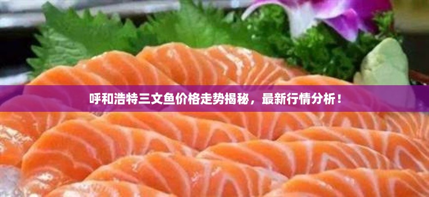 呼和浩特三文魚價格走勢揭秘，最新行情分析！