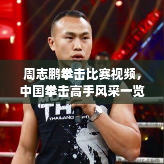 周志鵬拳擊比賽視頻，中國拳擊高手風采一覽