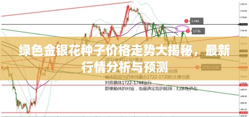 綠色金銀花種子價格走勢大揭秘，最新行情分析與預(yù)測