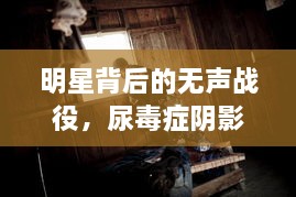 明星背后的無聲戰(zhàn)役，尿毒癥陰影下的星光挑戰(zhàn)