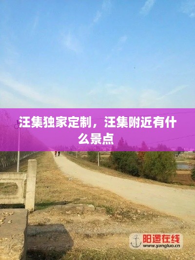 2025年1月 第384頁(yè)