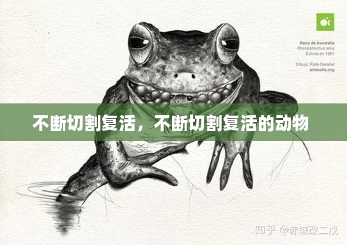 不斷切割復活，不斷切割復活的動物 