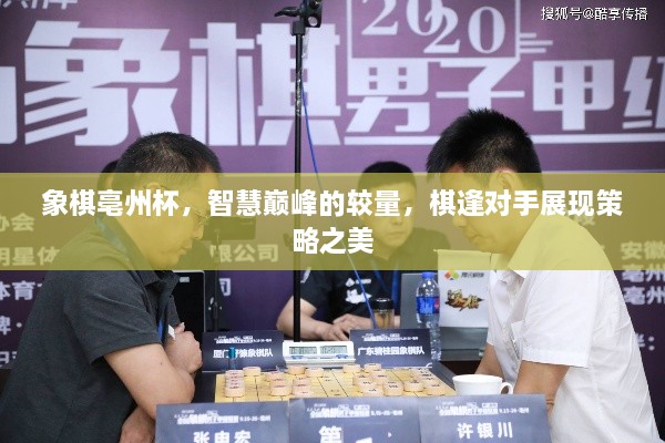 象棋亳州杯，智慧巔峰的較量，棋逢對手展現(xiàn)策略之美
