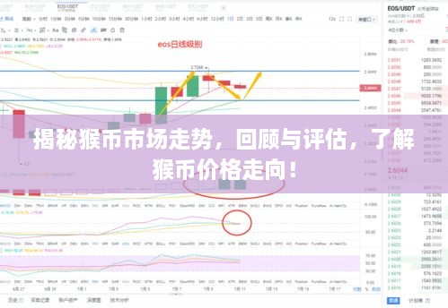 揭秘猴幣市場走勢，回顧與評估，了解猴幣價格走向！