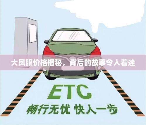 大鳳眼價(jià)格揭秘，背后的故事令人著迷