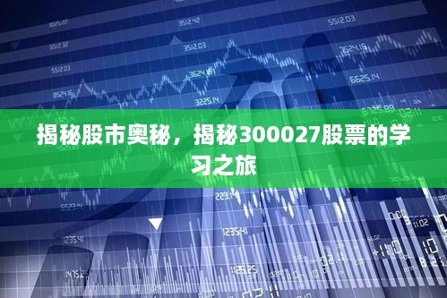 揭秘股市奧秘，揭秘300027股票的學(xué)習(xí)之旅