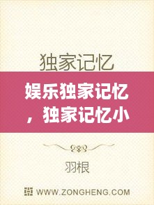 娛樂獨家記憶，獨家記憶小說完整版 
