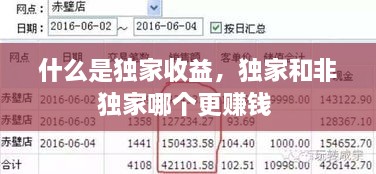 什么是獨(dú)家收益，獨(dú)家和非獨(dú)家哪個(gè)更賺錢 