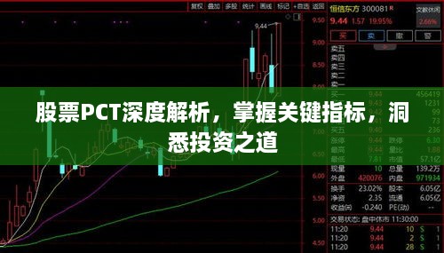 股票PCT深度解析，掌握關鍵指標，洞悉投資之道