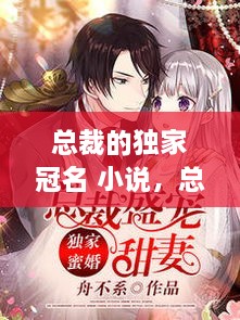 總裁的獨家冠名 小說，總裁的獨家盛寵全文免費閱讀 