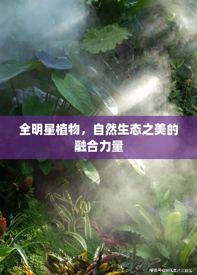 全明星植物，自然生態(tài)之美的融合力量