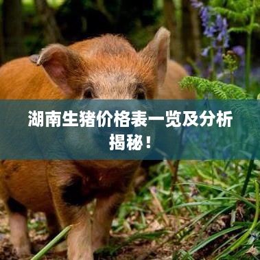湖南生豬價格表一覽及分析揭秘！