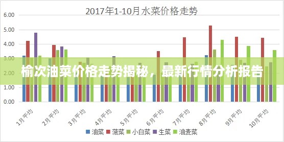 榆次油菜價格走勢揭秘，最新行情分析報告