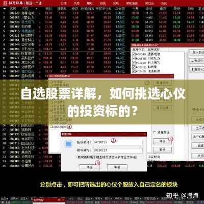 自選股票詳解，如何挑選心儀的投資標的？