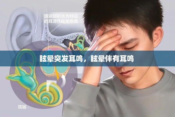 眩暈突發(fā)耳鳴，眩暈伴有耳鳴 