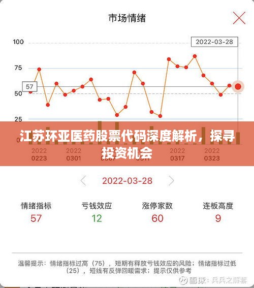 江蘇環(huán)亞醫(yī)藥股票代碼深度解析，探尋投資機(jī)會(huì)