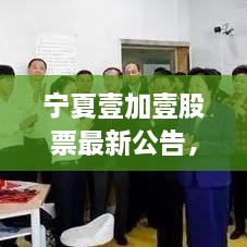 寧夏壹加壹股票最新公告，重磅消息揭秘，投資者不容錯(cuò)過！