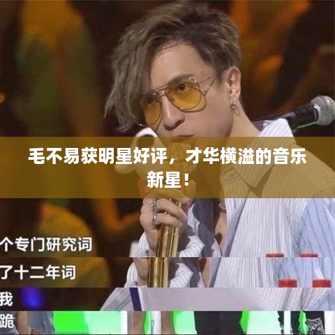 毛不易獲明星好評，才華橫溢的音樂新星！