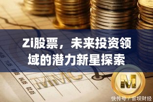 Zi股票，未來投資領(lǐng)域的潛力新星探索