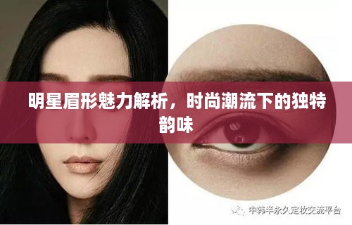 明星眉形魅力解析，時(shí)尚潮流下的獨(dú)特韻味