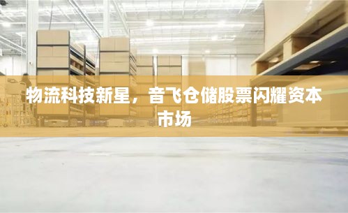 物流科技新星，音飛倉儲股票閃耀資本市場