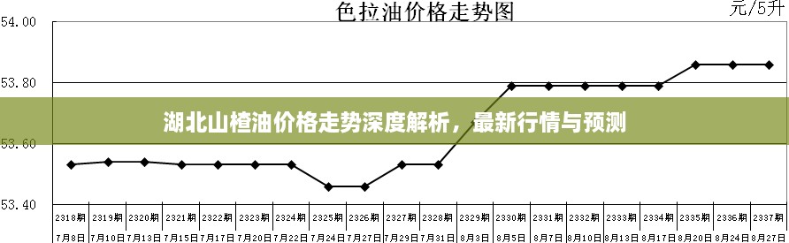 湖北山楂油價格走勢深度解析，最新行情與預測