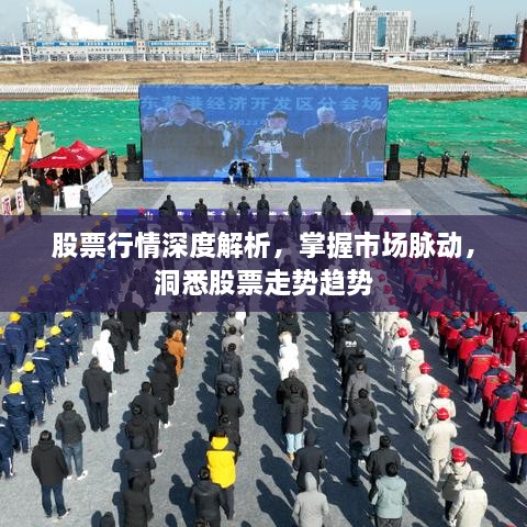 股票行情深度解析，掌握市場(chǎng)脈動(dòng)，洞悉股票走勢(shì)趨勢(shì)