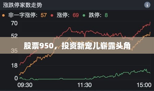 股票950，投資新寵兒嶄露頭角