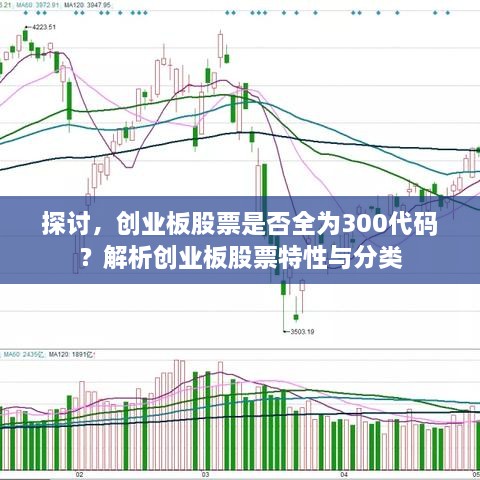 探討，創(chuàng)業(yè)板股票是否全為300代碼？解析創(chuàng)業(yè)板股票特性與分類