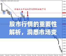 股市行情的重要性解析，洞悉市場(chǎng)變化的關(guān)鍵所在！