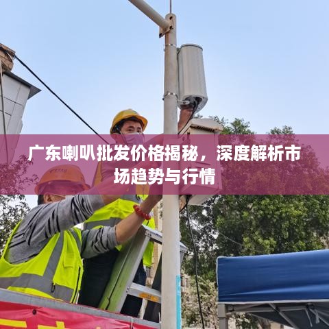 廣東喇叭批發(fā)價(jià)格揭秘，深度解析市場(chǎng)趨勢(shì)與行情