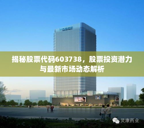 揭秘股票代碼603738，股票投資潛力與最新市場動態(tài)解析