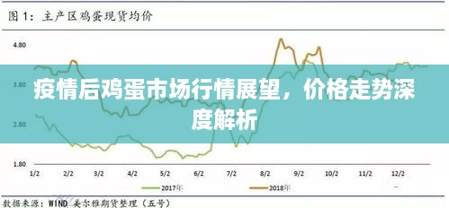 疫情后雞蛋市場行情展望，價格走勢深度解析
