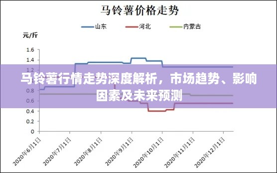 馬鈴薯行情走勢深度解析，市場趨勢、影響因素及未來預(yù)測
