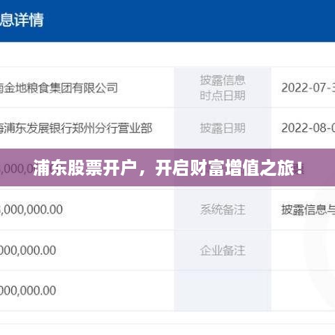 浦東股票開戶，開啟財富增值之旅！