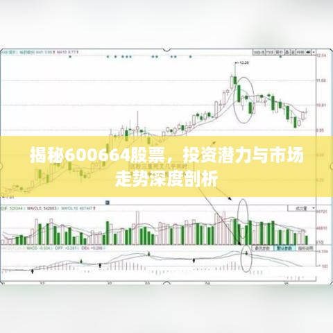 揭秘600664股票，投資潛力與市場走勢深度剖析