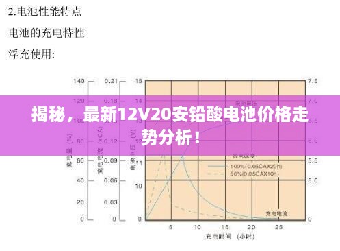 揭秘，最新12V20安鉛酸電池價格走勢分析！