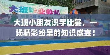 大班小朋友識(shí)字比賽，一場(chǎng)精彩紛呈的知識(shí)盛宴！