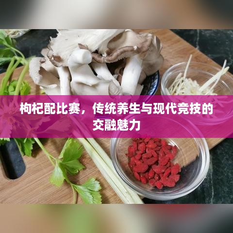枸杞配比賽，傳統(tǒng)養(yǎng)生與現(xiàn)代競技的交融魅力