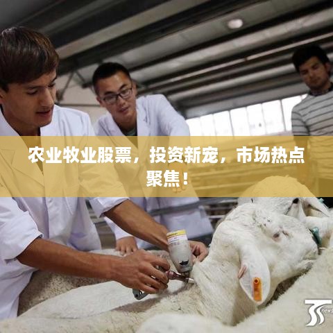 農(nóng)業(yè)牧業(yè)股票，投資新寵，市場熱點聚焦！