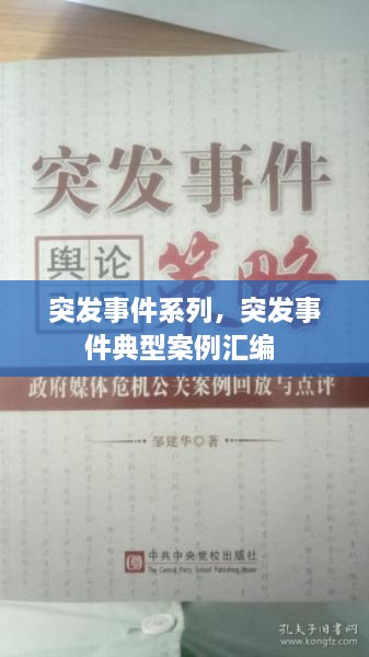 突發(fā)事件系列，突發(fā)事件典型案例匯編 