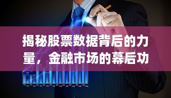揭秘股票數(shù)據(jù)背后的力量，金融市場的幕后功臣
